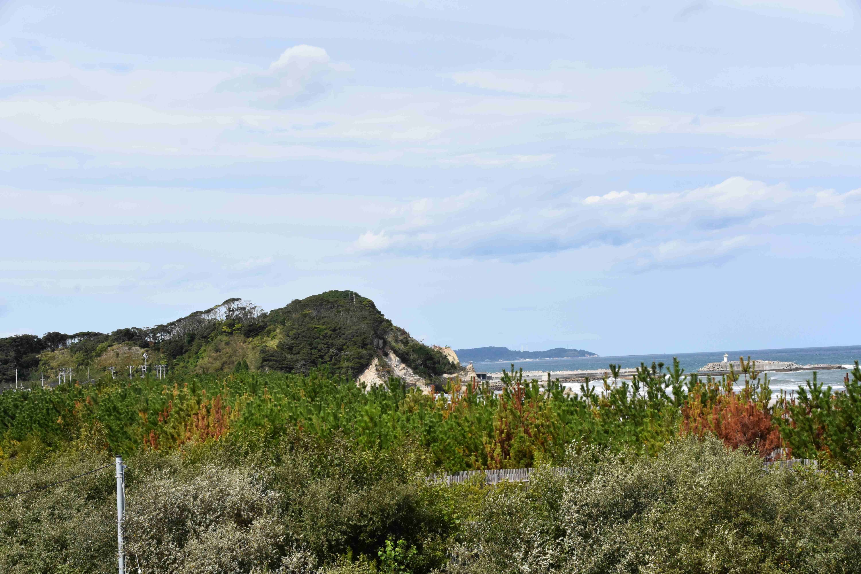 2F展望デッキより