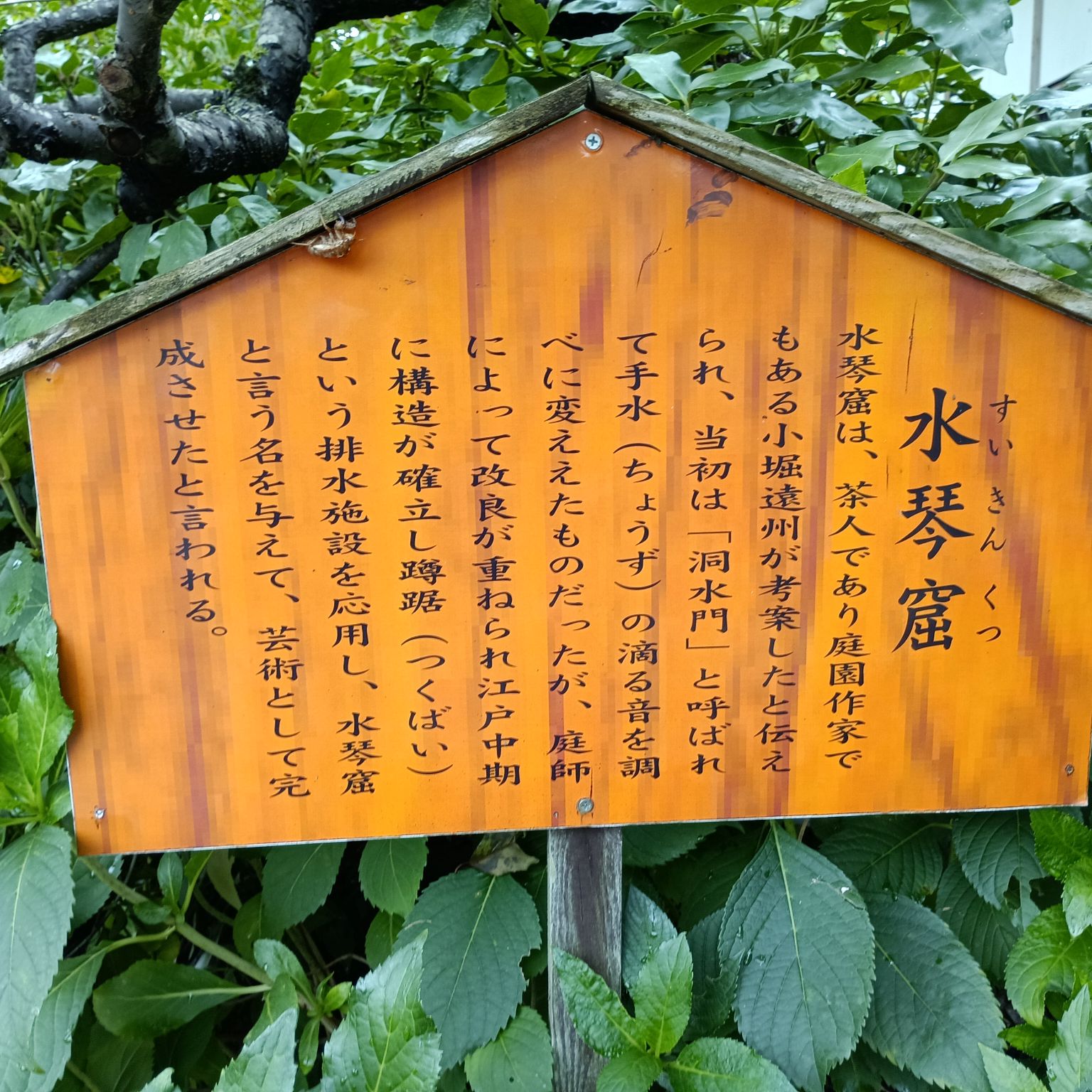 2025年度芋煮会・BBQ