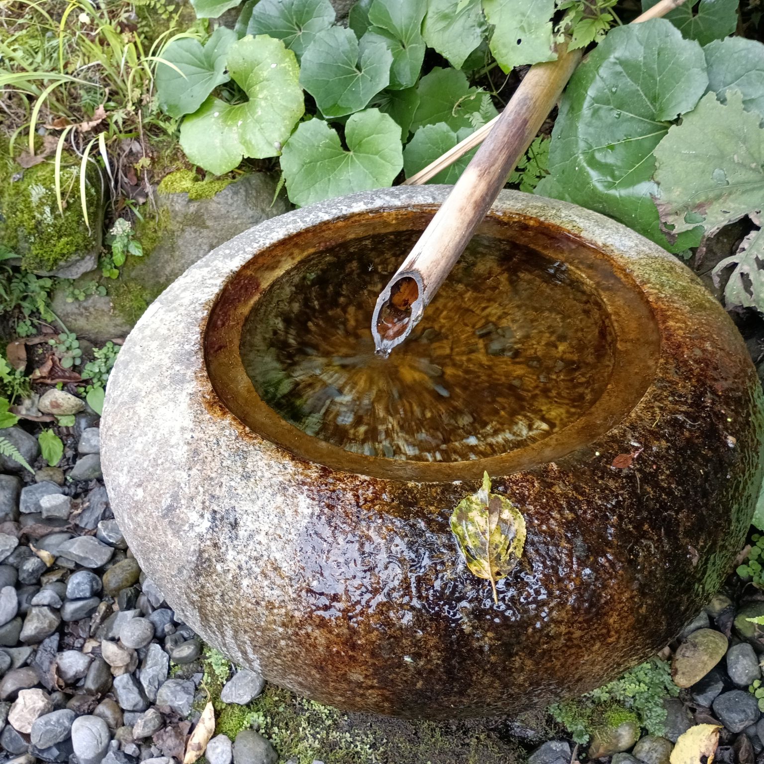 2025年度芋煮会・BBQ