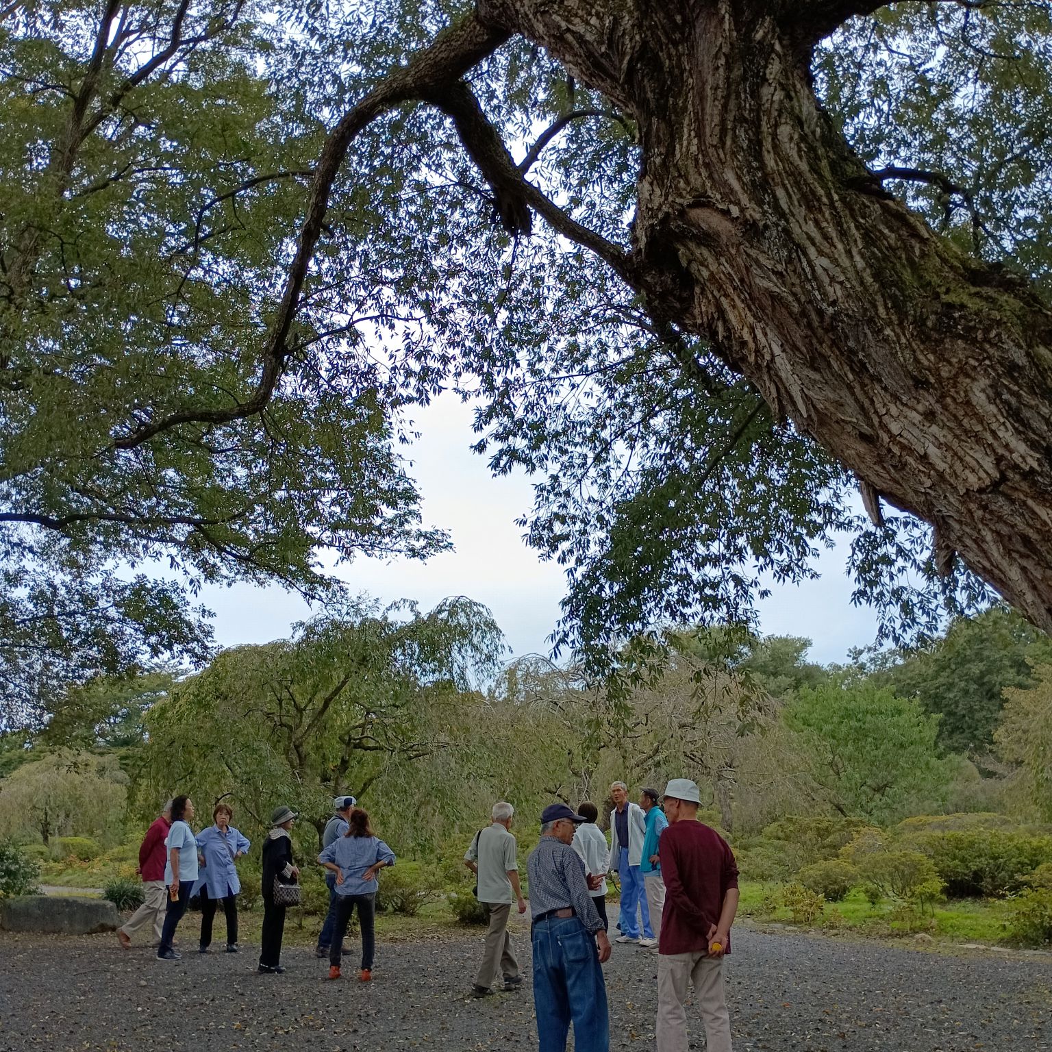 2025年度芋煮会・BBQ