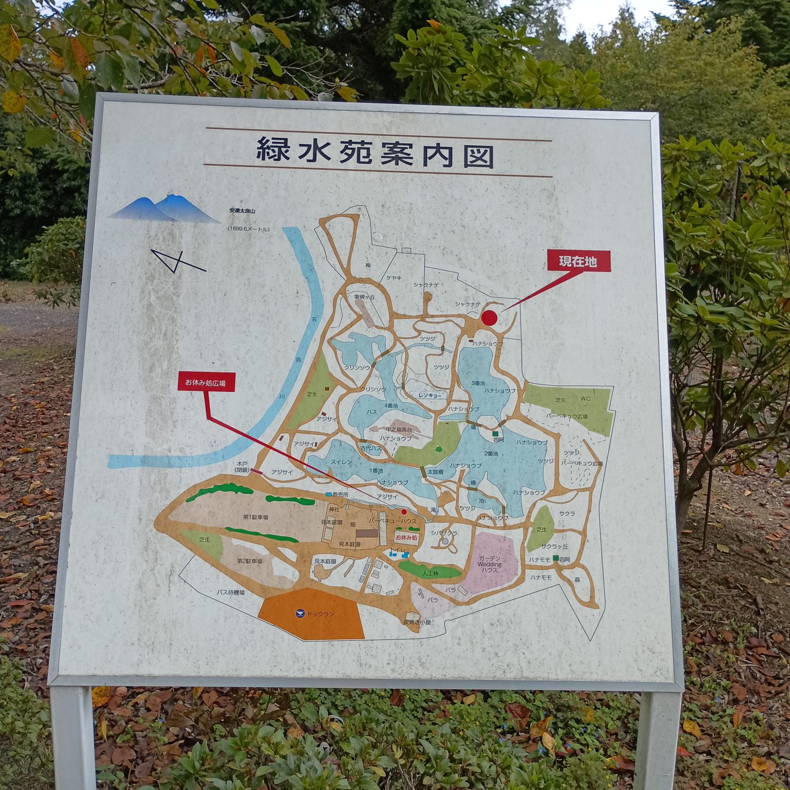 2025年度芋煮会・BBQ