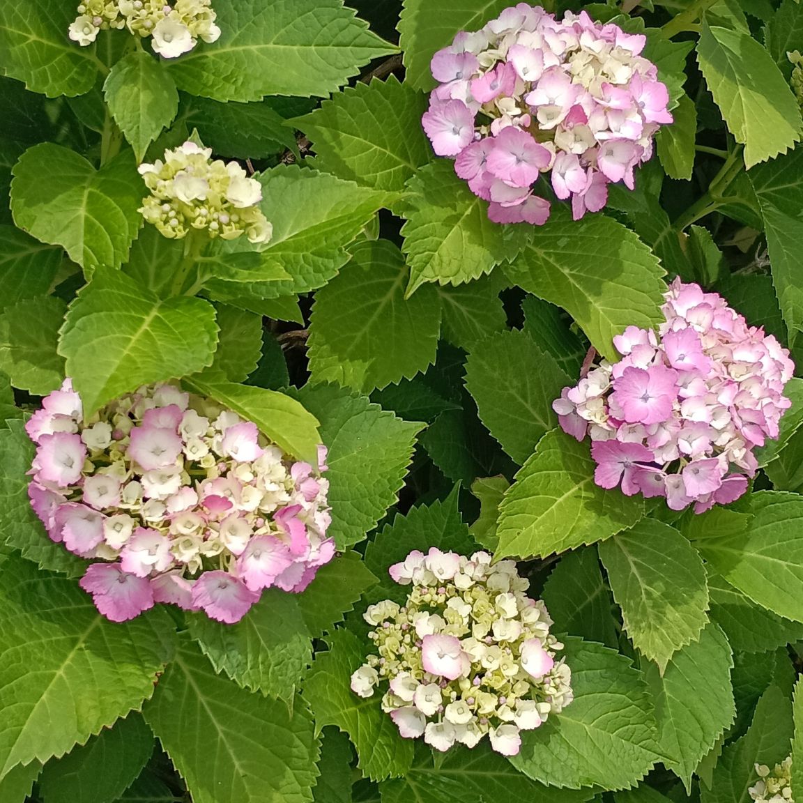 第22回更新